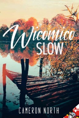 Wicomico Slow_ New Adult Contempor (12655)