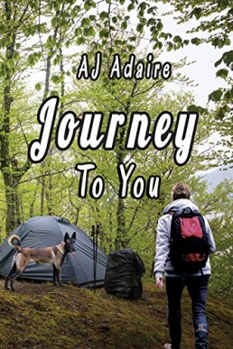 Journey to You (11701)