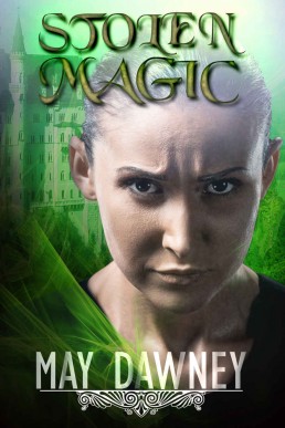 Stolen Magic (The Veil Chronicles, #3) (12074)