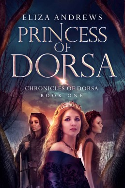 Princess of Dorsa (The Chronicles of Dorsa Book 1) (281)