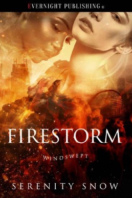 Firestorm (Windswept Book 4) (11944)