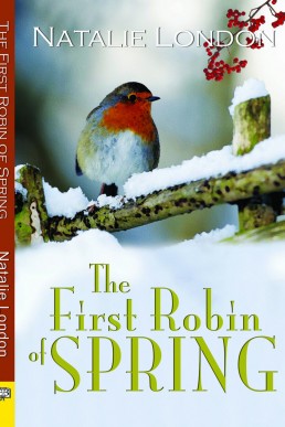 The First Robin of Spring (9309)