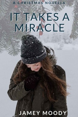 It Takes a Miracle - A Christmas Novella