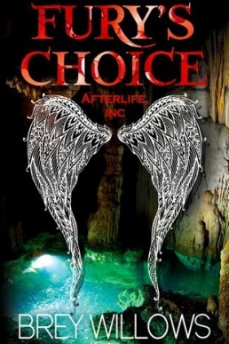 Fury's Choice (Afterlife Inc. #2)