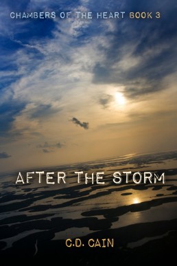 After the Storm  (Chambers of the Heart #3) (10933)