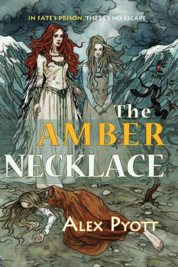 The Amber Necklace (8467)