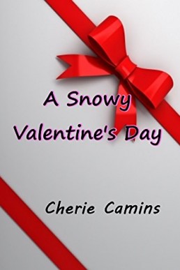 A Snowy Valentine's Day (10905)