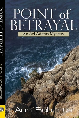 Point of Betrayal (Ari Adams Mystery, #4) (8260)