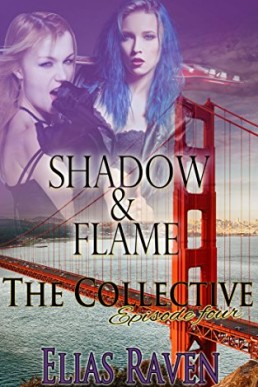 Shadow & Flame - Part One_ The Coll (8383)