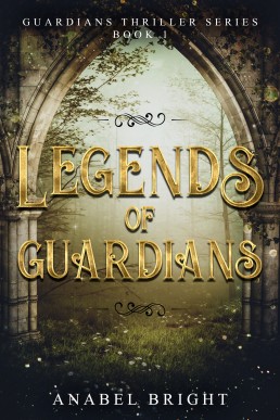 Legends of Guardians (13112)