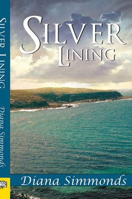 Silver Lining (7939)