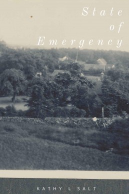 State of Emergency (8116)