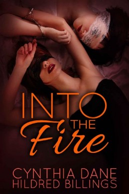 Into the Fire (Mitch & Vanessa Book 1)