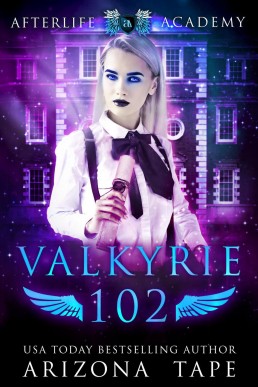 Valkyrie 102: How to become a Valkyrie (The Afterlife Academy Book 2)