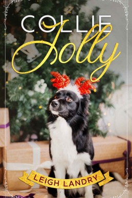 Collie Jolly (NOL 0.5)