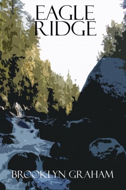 Eagle Ridge (The Adirondack Tales, Book One) (12796)