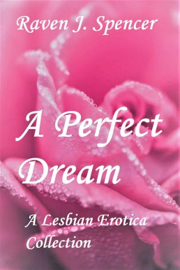 A Happy Ending (A Perfect Dream Bo (14086)