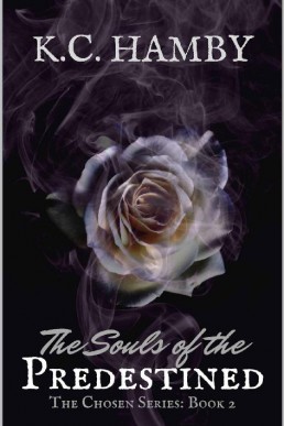 The Souls of the Predestined: The Chosen Series: Book 2 (12992)