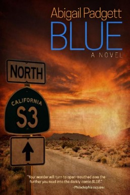 Blue (A Blue McCarron Mystery Book 1)