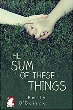 The Sum of These Things (A Story of Now, #2) (8714)