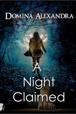 A Night Claimed (Claimed Book 1) (11854)