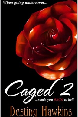 Caged 2 (9919)