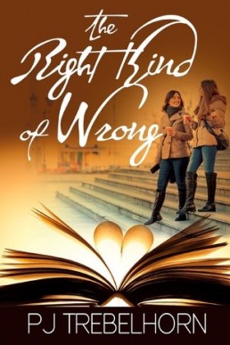 The Right Kind of Wrong (Burke Sisters #1)