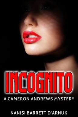 Incognito (Cameron Andrews #4) (4621)