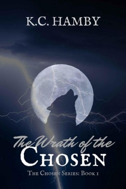 The Wrath of the Chosen: The Chosen Series: Book 1 (13829)