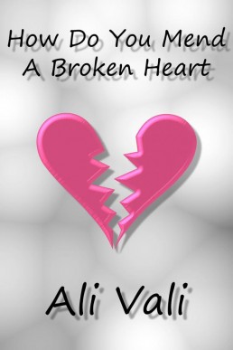 How Do You Mend A Broken Heart (Harry & Desi, #1) (7600)