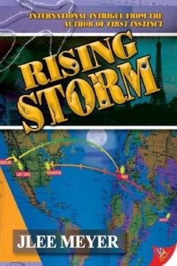 Rising Storm (Stryker & Grove #2)