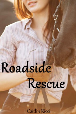 Roadside Rescue (14031)