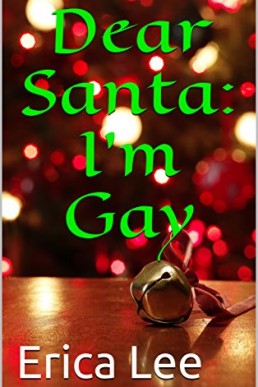 Dear Santa_ I'm Gay (9379)