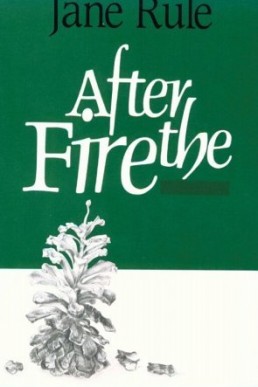 After the Fire (8156)