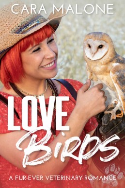 Lovebirds (Fur-ever Veterinary Romances #5)