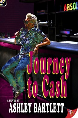 Journey to Cash  (Cash Braddock #4)  (13705)