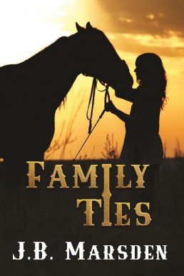 Family Ties (A Valley View Romance #3)