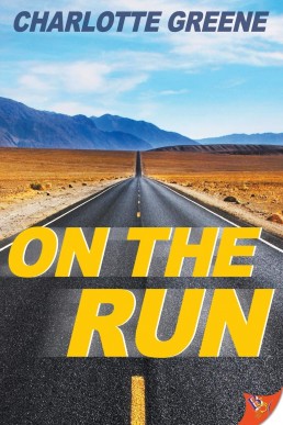 On the Run (10056)