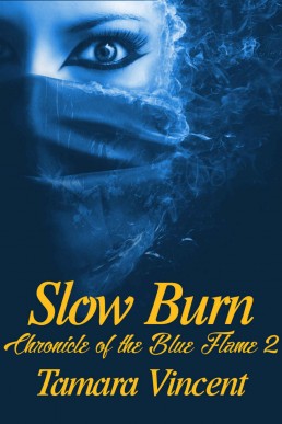 Slow Burn (The Chronicle of the Blue Flame #2)