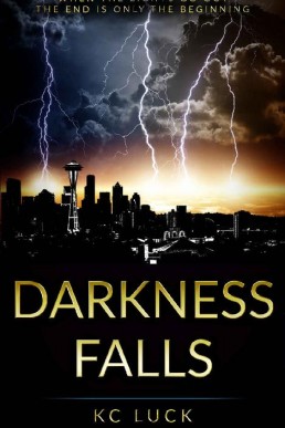 Darkness Falls (The Darkness Series #1)