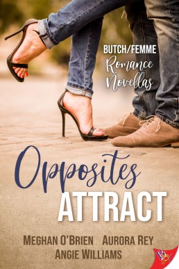 Opposites Attract: Butch/Femme Romances