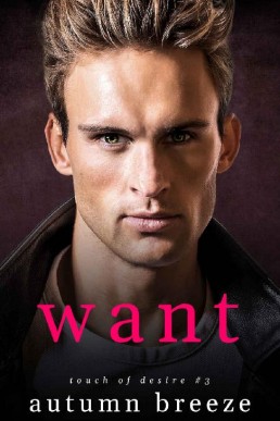 Want (Touch of Desire Book 3) (33)