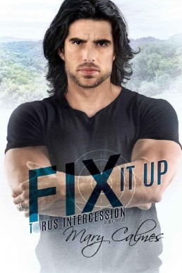 Fix It Up (Torus Intercession Book 3)