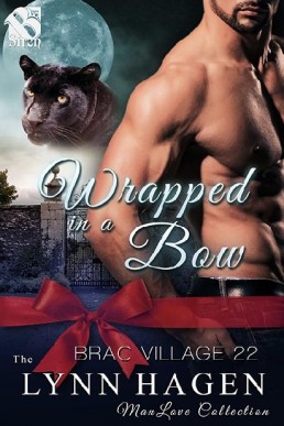 Wrapped in a Bow (Brac Village #22)