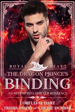 The Dragon Prince's Binding_ An M_M (104)