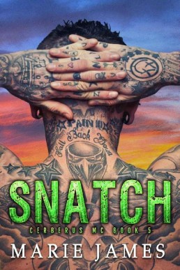 Snatch (Cerberus MC #5) M/M/F