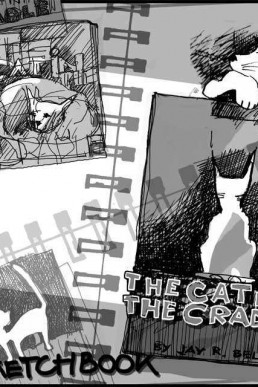 The Cat in the Cradle Sketchbook (Loka Legends)