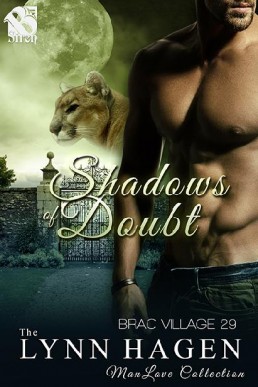 Shadows of Doubt (Brac Village #29)