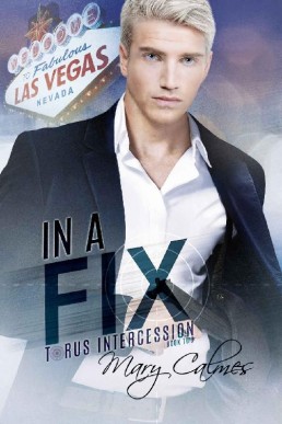 In A Fix (Torus Intercession Book 2)