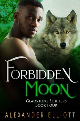 Forbidden Moon_ An MM gay paranorma (385)